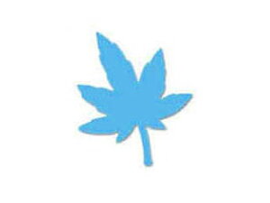 CARL/J[ Ntgp` CP-2 ~W