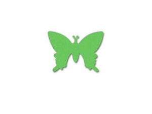 CARL/J[ Ntgp` CP-1 T[N1/8