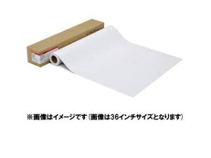 CANON Lm ʐ^pE v[v`iO[h] LFM-GPPT/42/300 1107C001