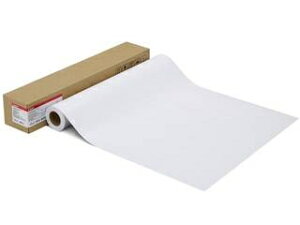 CANON Lm ʐ^pE v[v`iO[h] LFM-GPPT/36/300 1107C002