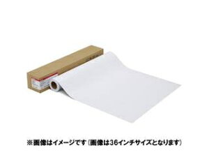 CANON Lm ʐ^pE v[v`iO[h] LFM-GPPT/17/300 1107C004