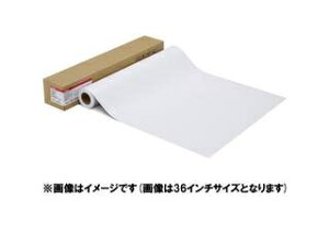 CANON Lm ʐ^pE v[v`iO[h] LFM-GPPT/24/300 1107C003