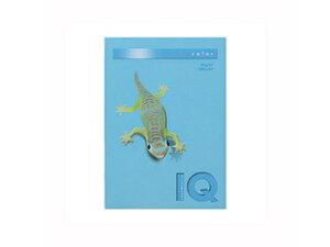 mondi/fB ymondi/fBzoCIgbvJ[PPC A4 ANAu[ BT518 500