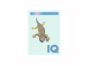 mondi/fB ymondi/fBzoCIgbvJ[PPC A4 u[ BT507 500