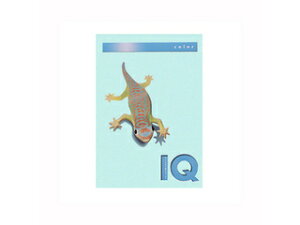 mondi/モンディ 【mondi/モンディ】バイオトップカラーPPC A4 ミディアムブルー BT508 500枚入