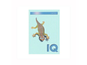 mondi/fB ymondi/fBzoCIgbvJ[PPC A4 ~fBAu[ BT808 250