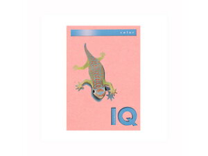 mondi/fB ymondi/fBzoCIgbvJ[PPC A4 sN BT804 A4 250