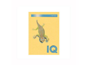 mondi/fB ymondi/fBzoCIgbvJ[PPC A4 S[h BT802 A4 250