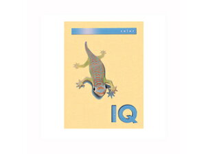 mondi/fB ymondi/fBzoCIgbvJ[PPC A4 T[ BT815 A4 250