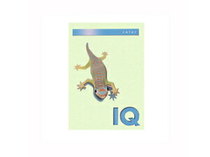 mondi/fB ymondi/fBzoCIgbvJ[PPC A4 O[ BT805 A4 250