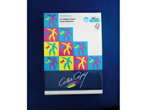 mondi/fB ymondi/fBznCp[[U[Rs[A4 zCg HP504