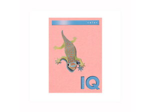 mondi/fB ymondi/fBzoCIgbvJ[PPC A4 sN BT704 A4 250