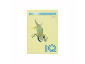 mondi/�����f�B �ymondi/�����f�B�z�o�C�I�g�b�v�J���[PPC A4 ������ BT527 500����