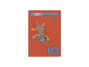 mondi/fB ymondi/fBzoCIgbvJ[PPC A4 ubNbh BT519 500