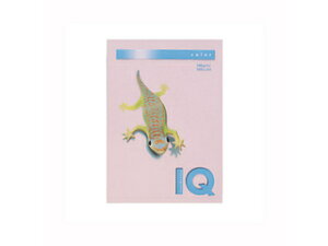 mondi/fB ymondi/fBzoCIgbvJ[PPC A4 t~S BT831 A4 250