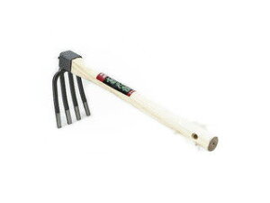 FUKUI  yOWL/IEzЎl{F 370mmt #003