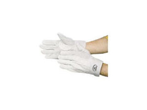 FUJI GLOVE xmO[u v WXg 1611