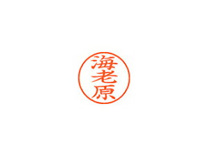 Shachihata/V`n^ Xstamper l[9 i CV XL-9 0447 Grn
