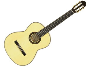 Aria/AA A-100F NVbNM^[ yFlamencozy\tgP[XtzyARIACGz yEBnEkCȆ̗͔zł܂z yRPS160228zyzԎwsz