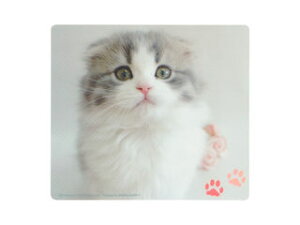 TTvC }EXpbh(XReBbVtH[h) MPD-215E