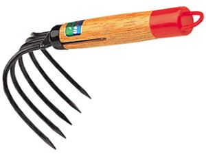 KINBOSHI L{V GS #1423 EҌF