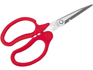 KINBOSHI L{V GS #2312 L\ X^_[h