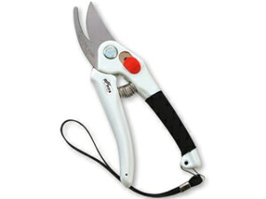 ݖ{_H쏊  XeXn oCpX 185 P-900S