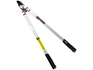 ݖ{_H쏊 J}L } L-81