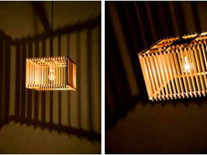 SINYO VmdC AP798 y_gCg /ren y1^Cvz