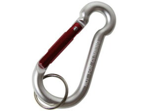 SK11 A~Jri C SAC-880CVo[