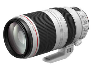 �y�[�����⍇�킹���������z CANON �L���m�� EF100-400LIS2�@EF100-400mm F4.5-5.6L IS II USM�@���������Y 9524B001