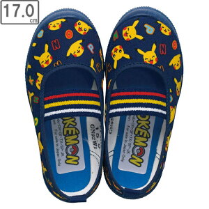 ASAHI/ATqV[Y yLbYz|P S04 ylCr[zy17.0cmE2Ez KD37162 XN[V[Y 㗚