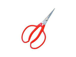 KOBAYASHI ѐ yKoshiji/zHzXeX ԂǂԈ 175mm K-14