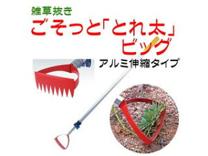 GOTO/㓡 G ƁuƂꑾvrbO A~Lk^Cv 870276 y14gotoz