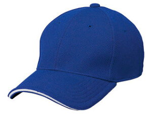 SSK GXGXPC BC501AF-63 A-FLEXLbv yL-XLz iDu[j