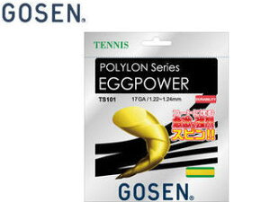 GOSEN/�S�[�Z�� TS101Y �G�b�O�p���[17 �e�j�X�p �i�C�G���[�j