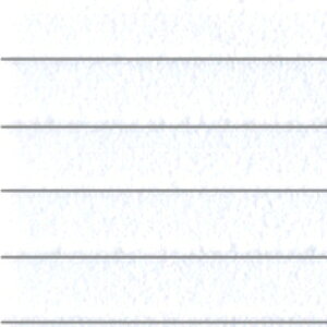 Ðms NDP11 NewfUCvX`bNy[p[ bvTCfBO100(zCg) 2