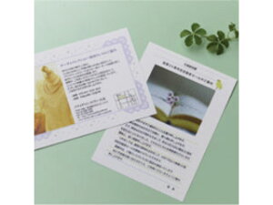 HISAGO qTS [Up ͂4 Ȃ߂炩(200V[g) KLP12