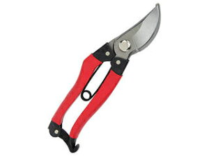 SENKICHI g  180mm SGP 49