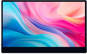 JAPANNEXT ジャパンネクスト 4K対応 17.3型液晶ディスプレイ /HDMI×1、USB-C×2/ブラック/スピーカー/2年保証 JN-MD-IPS173UHDR-T 単品購入のみ可(同一商品であれば複数購入可) クレジットカード 代金引