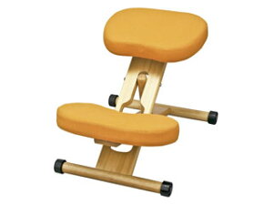 MIYATAKE {쏊 p𐳂ۂ֎q NbVtv|[V`FALbY CH-889CKOR IW s EBEkCE͂s