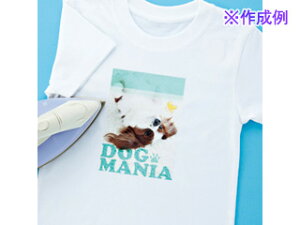 TTvC JP-TPRTYN CNWFbgɋACvg(zp)