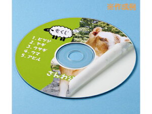 TTvC LB-CDR001N-100 CNWFbgDVD/CDx(Ȃ}bg)