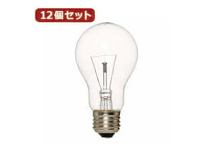 YAZAWA YAZAWA �y12�Z�b�g�z �������N���A100W�` L100V100WCLX12