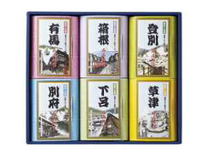 純ケミフア 名湯旅情 薬用入浴剤ギフトセット L2165125