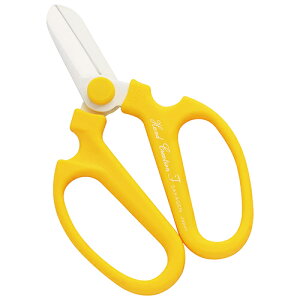 sakagen ⌹ ⌹ #359 nhNG[VFL[g  BP