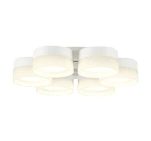 ODELIC I[fbN WF257PR@V[Ot@ mZ[h^CvE6n`10p