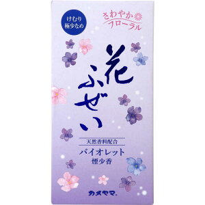 KAMEYAMA J} Ԃӂ oCIbg̍  100g