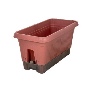 Bestco xXgR xXgR v^[  ybg{gŎ LX^[t { 650^ eRb^ MA-4204