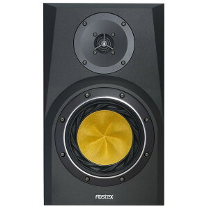 FOSTEX tHXeNX NF06 j^[Xs[J[(1)
